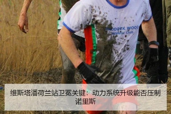 wei-si-ta-pan-he-lan-zhan-wei-mian-guan-jian-dong-li-xi-tong-sheng-ji-neng-fou-ya-zhi-nuo-li-si-3-991.jpg
