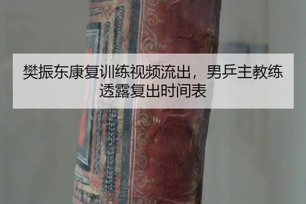 樊振东康复训练视频流出，男乒主教练透露复出时间表