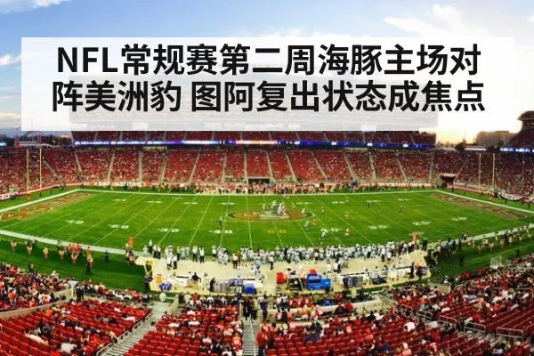 american football stadium crowd